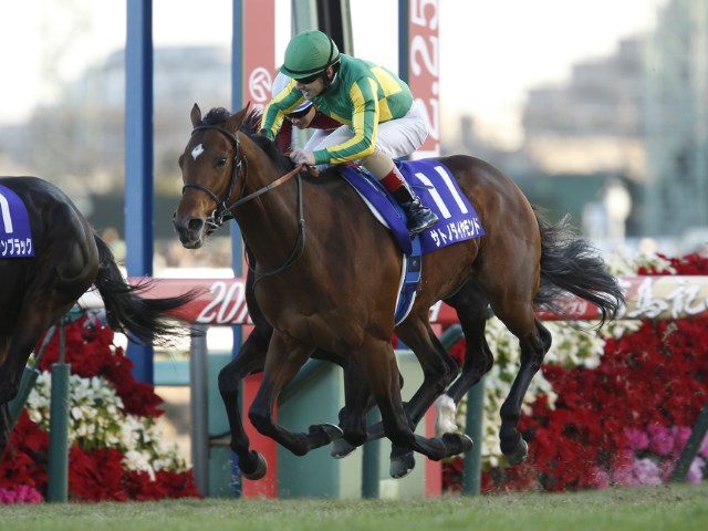 有馬記念】人気馬同士の叩き合い 3歳サトノダイヤモンドがキタサン