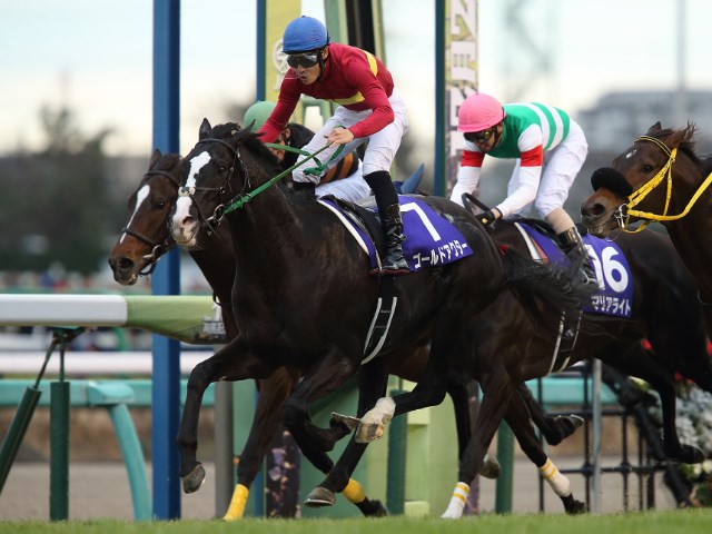 有馬記念】ゴールドシップの引退レース ゴールドアクターが一気の4連勝