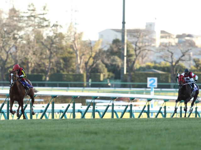 有馬記念】ラストランのオルフェーヴルが8馬身差V ウインバリアシオン