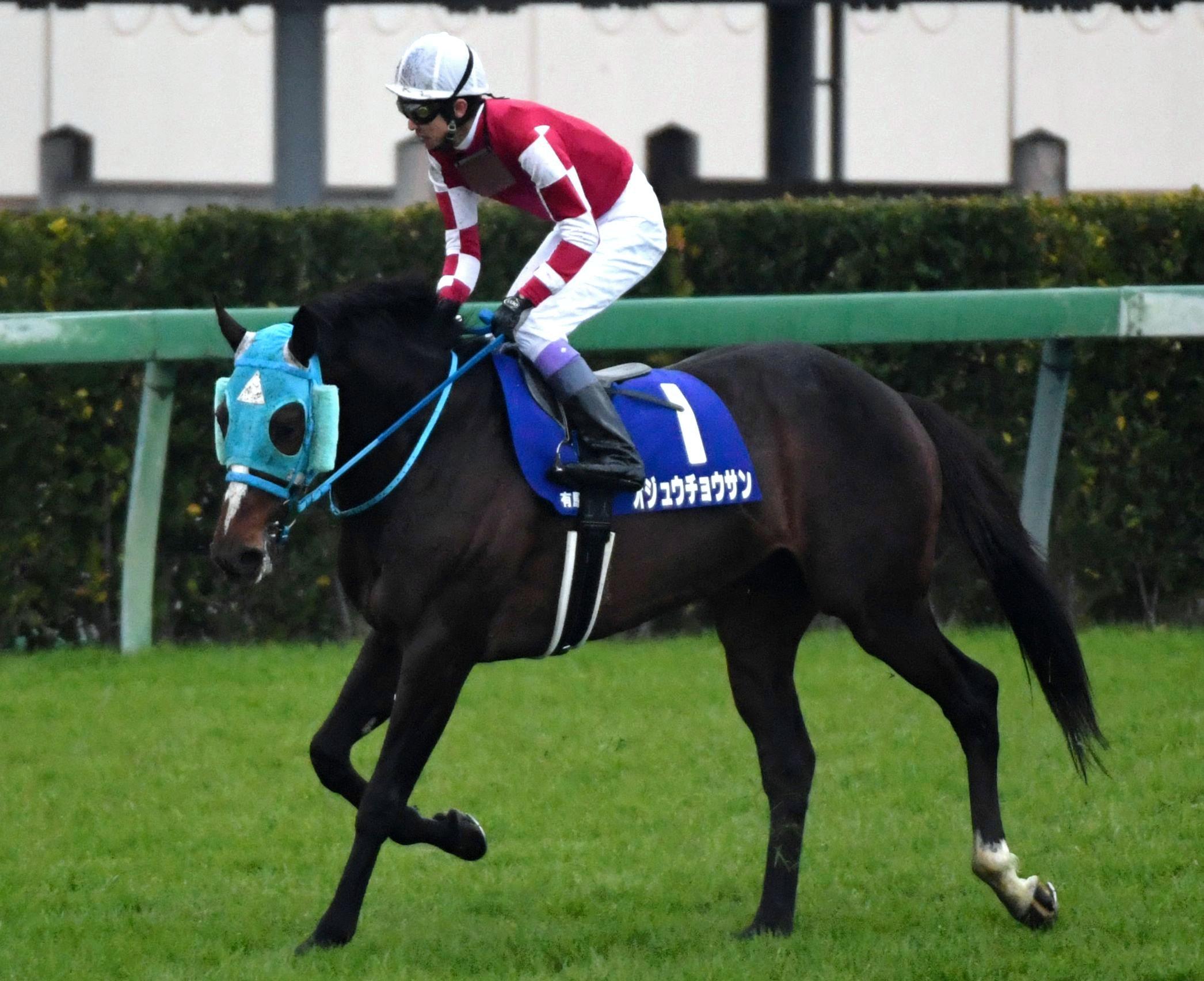 有馬記念】オジュウチョウサンは９着 武豊「ナイストライだった」 | 競馬ニュース - netkeiba