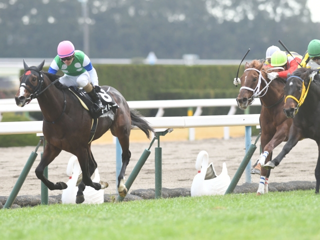 JRA】6頭立ての福寿草特別が8Rに繰り上げ、WIN5の対象レースも変更 | 競馬ニュース - netkeiba