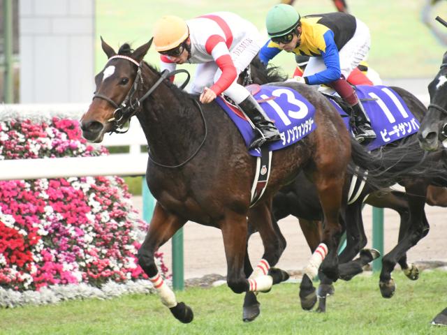 JRA賞2018】最優秀2歳牝馬はダノンファンタジー 満票逃すも2歳女王決定戦の優勝馬が順当受賞 | 競馬ニュース - netkeiba