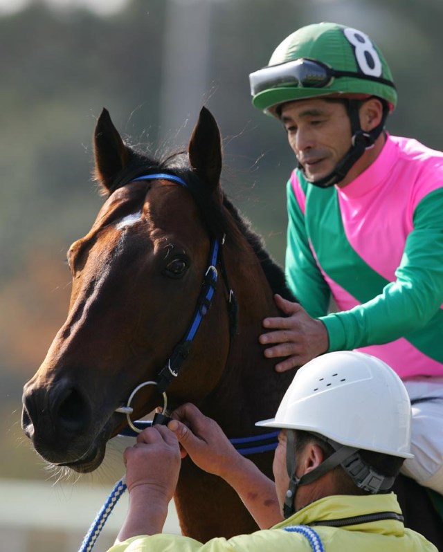 安くて可愛い人気 NAR 船橋競馬 石崎駿騎手 実使用 勝負服 サイン入り