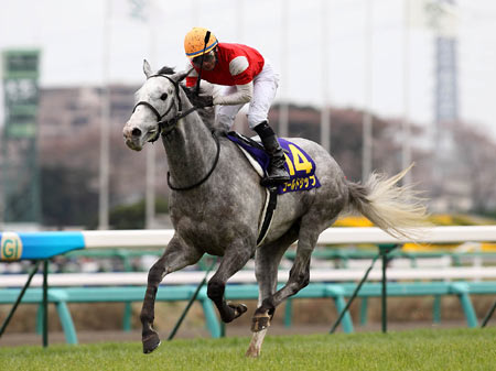 皐月賞との二冠狙うゴールドシップ1枠1番/菊花賞枠順確定 | 競馬