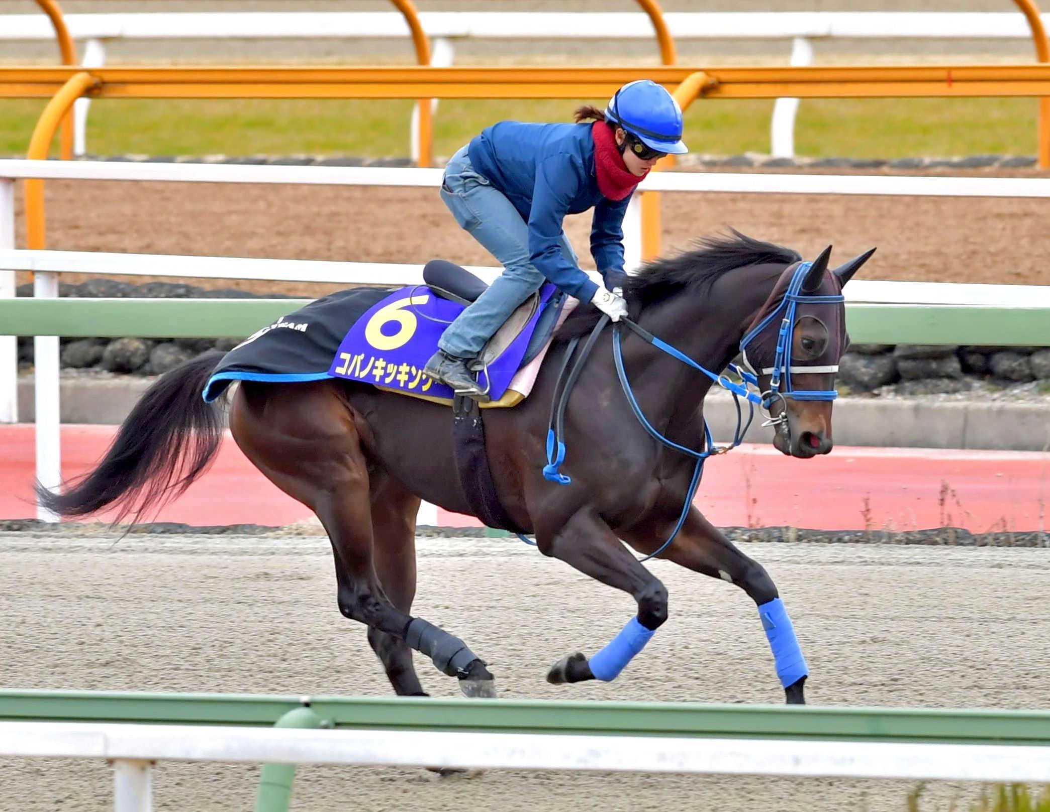 2019年藤田菜七子×コパノキッキング馬券-