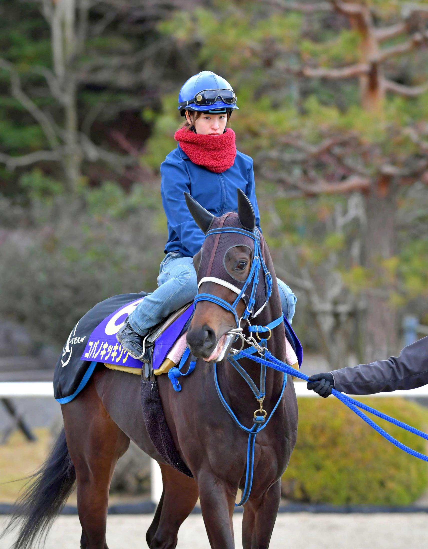 大人女性の 【新品・匿名配送】2019年 フェブラリーS メルカリ G1初