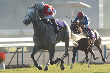 皐月賞馬ゴールドシップ、堂々の二冠達成/菊花賞 | 競馬ニュース