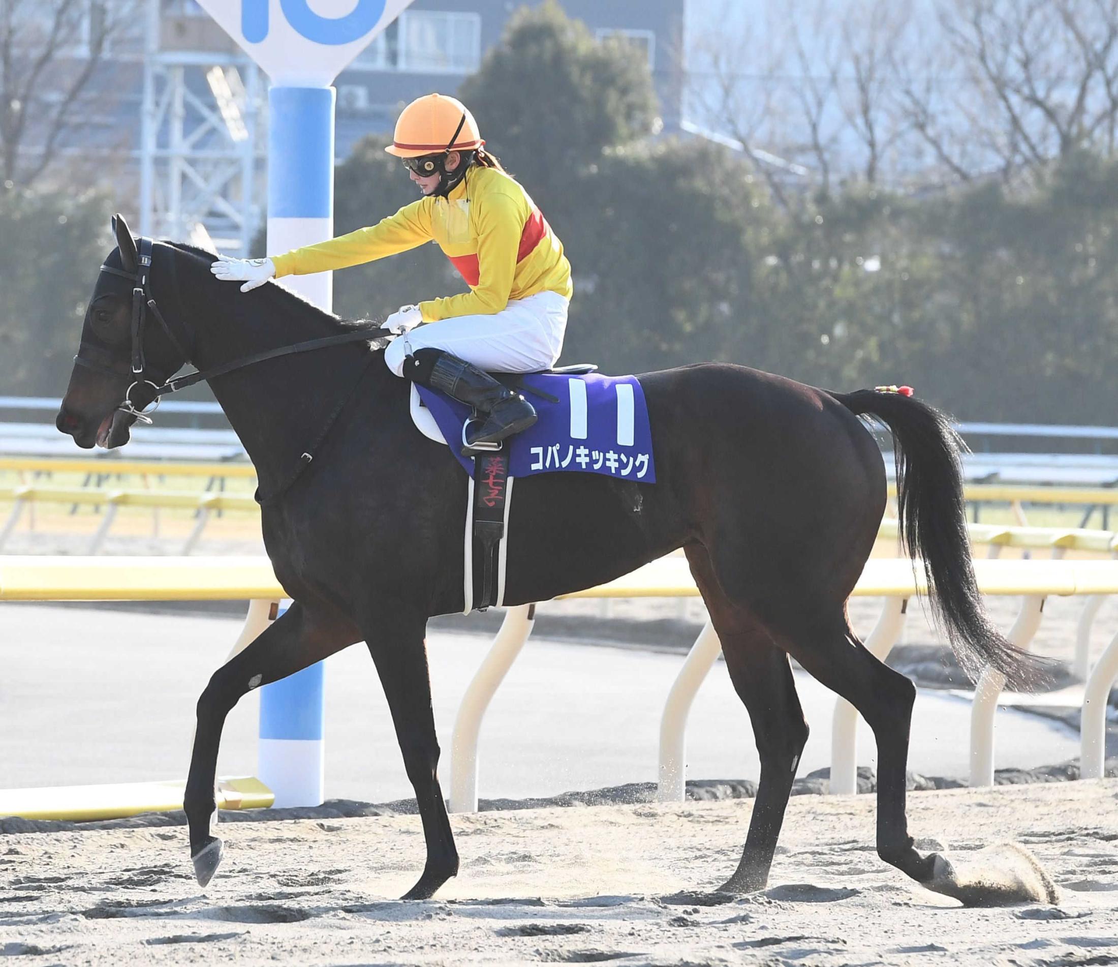 菜七子＆キッキング次走は「東京スプリント」に決定 | 競馬ニュース - netkeiba