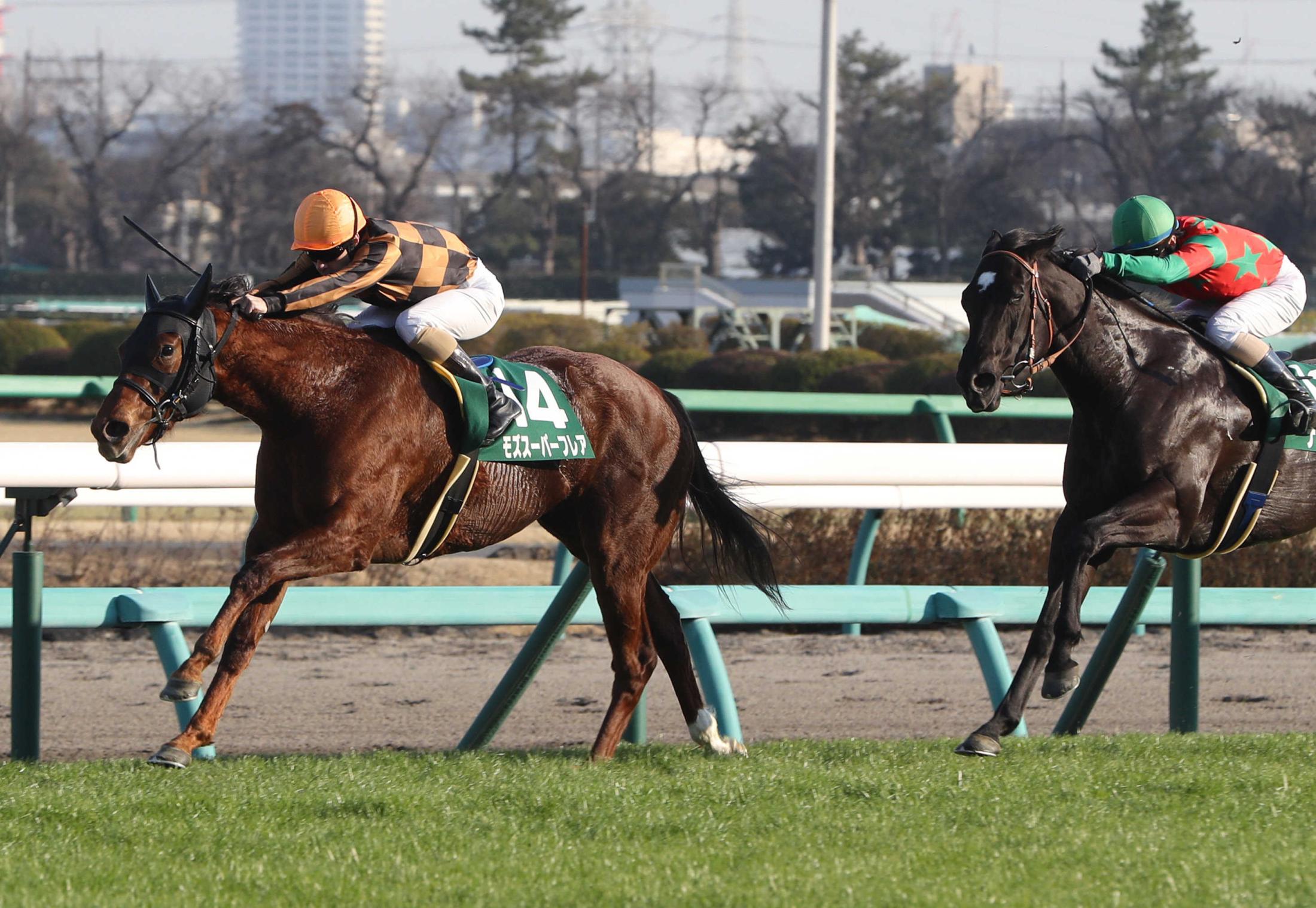 オーシャンＳ】モズスーパーフレア圧逃Ｖ 次は豊でＧ１獲りだ | 競馬