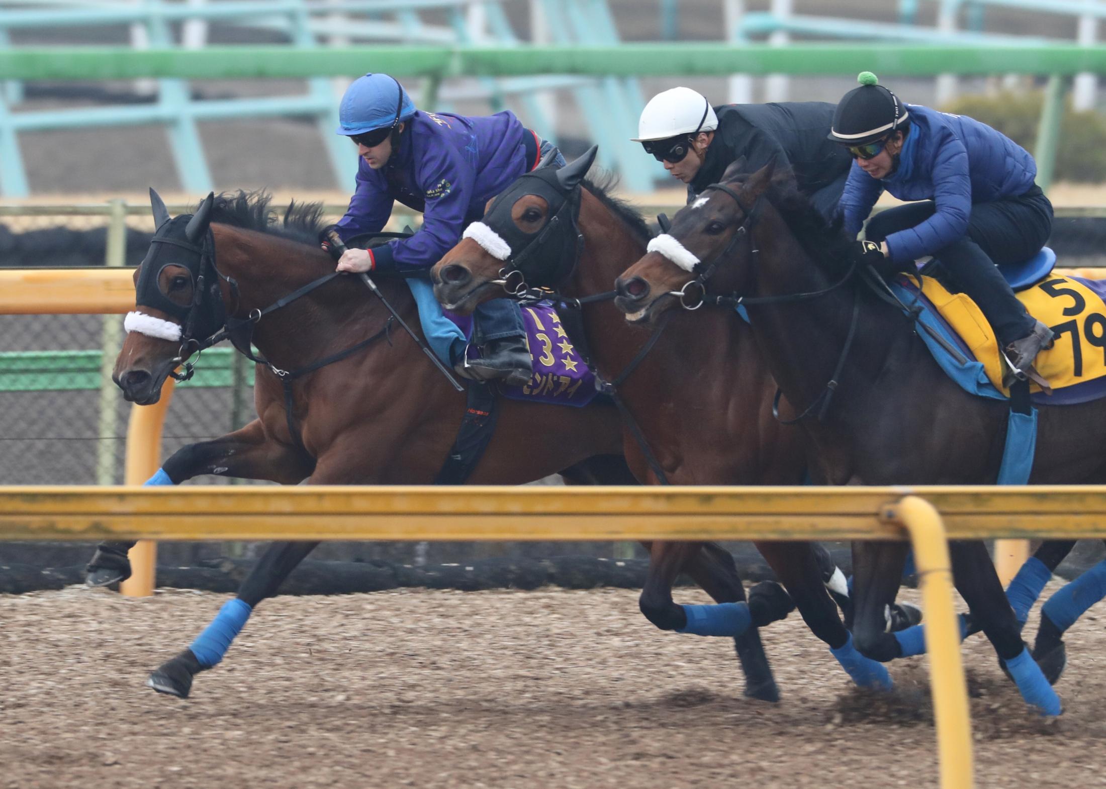 ドバイＷＣデー諸競走】アーモンドアイ順調＆レイデオロ及第点 | 競馬ニュース - netkeiba