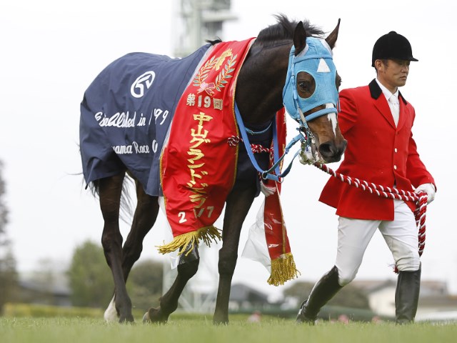 JRA】阪神SJでオジュウチョウサンが障害復帰、名牝の娘たちや白毛馬にも注目/本日の注目ポイント | 競馬ニュース - netkeiba