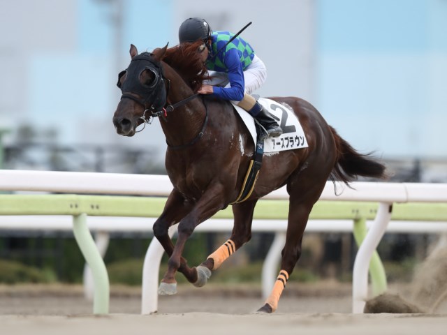 地方競馬】森泰斗騎手が地方競馬通算2500勝達成 | 競馬ニュース - netkeiba