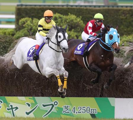 中山グランドＪ】オジュウチョウサン９連勝！記録ずくめでレコード圧倒