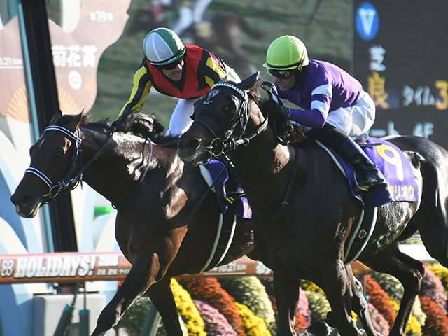 天皇賞(春)想定】菊花賞馬フィエールマン、重賞連勝中シャケトラなど15頭 | 競馬ニュース - netkeiba