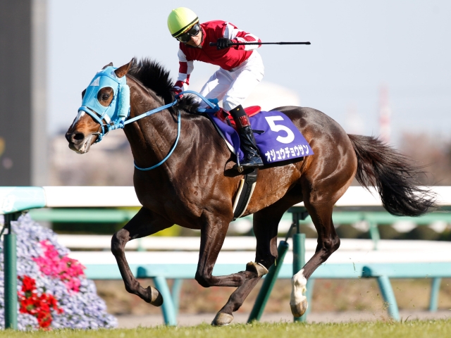 中山グランドジャンプ】絶対王者オジュウチョウサンが4連覇達成！/JRA