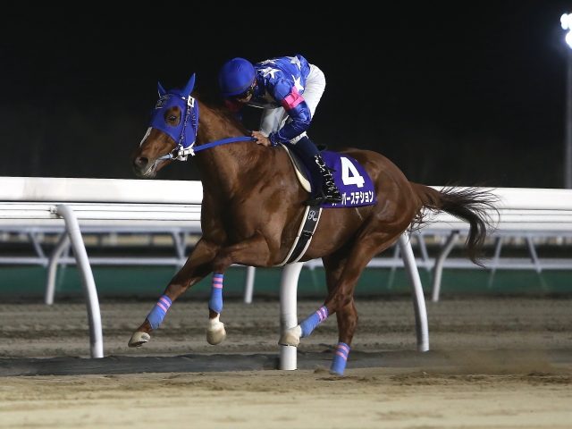 門別・コスモバルク記念】スーパーステションが9馬身差圧勝！ 今年初戦を飾る/地方競馬レース結果 | 競馬ニュース - netkeiba