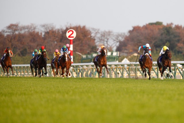 ベスト ストア レース 競馬