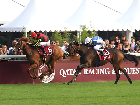 オルフェーヴルが単勝2.1倍で前売り1番人気/JC前日オッズ | 競馬