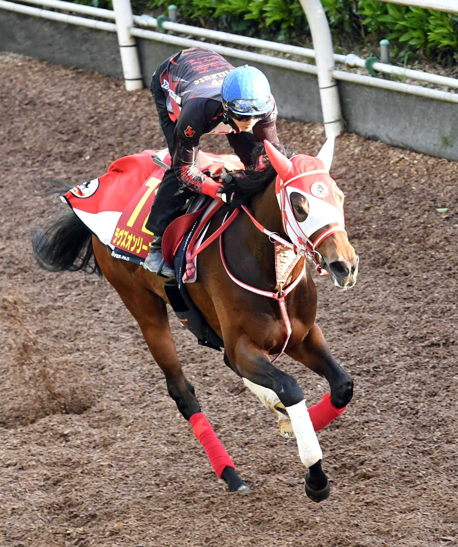 オークス】ラヴズオンリーユー「楽走」無敗の女王誕生へ充実一途