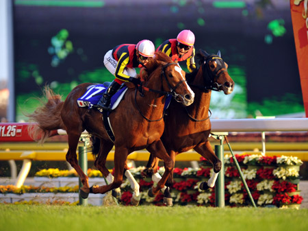 オルフェとの叩き合い制し、ジェンティルドンナが最強の座に/JC | 競馬