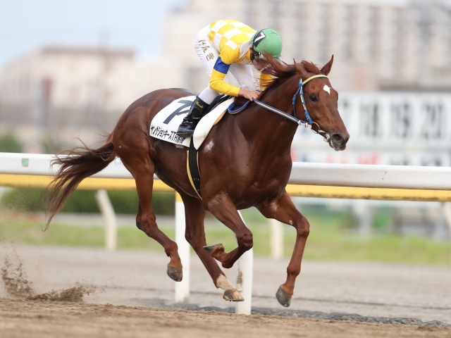 YJS・TR船橋第1戦】藤本現暉騎手騎乗のジャンティオムが圧勝/地方競馬 