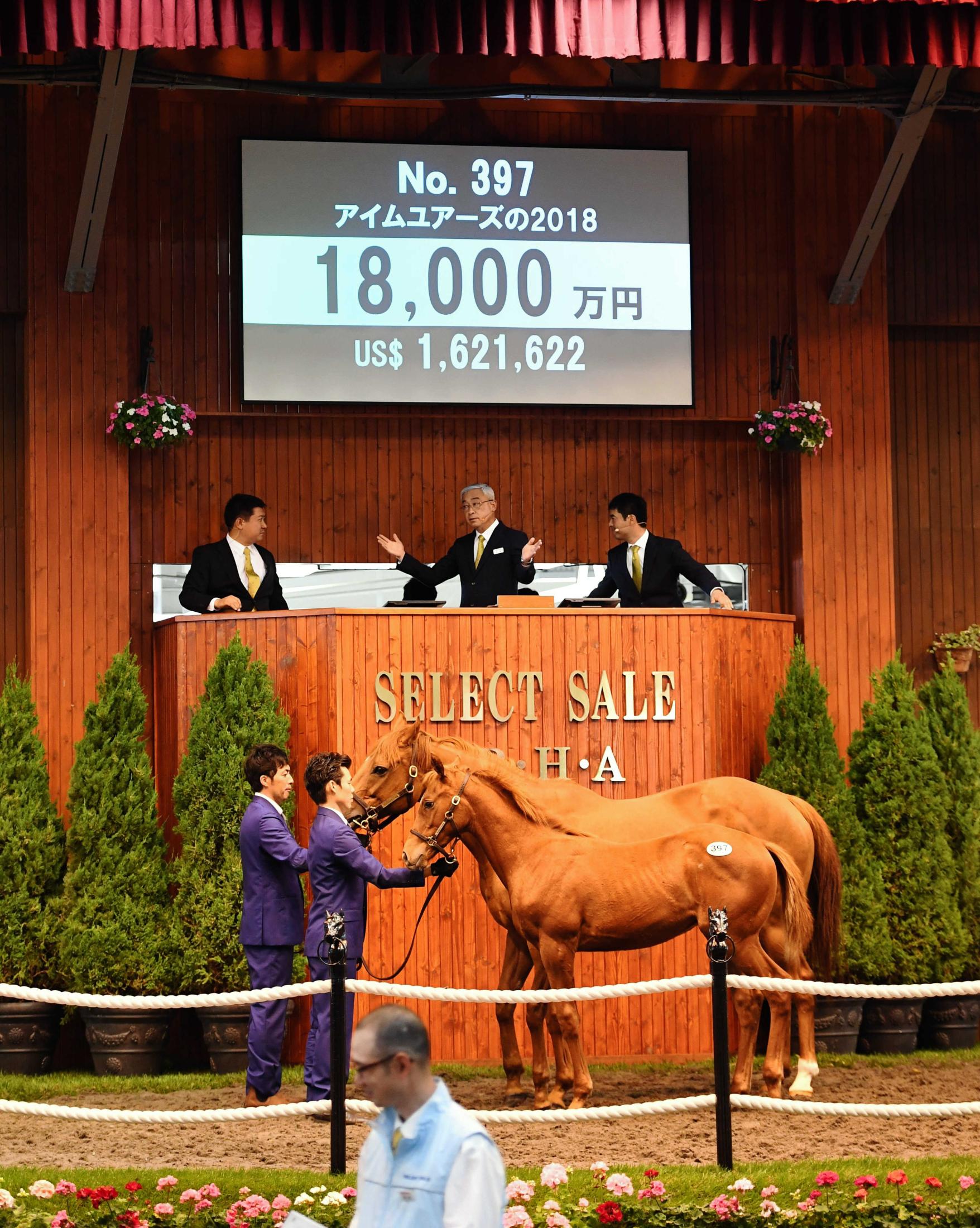 ドゥラメンテ産駒、新種牡馬最高額の１億８０００万円 アイムユアーズ