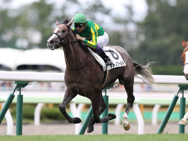 函館5R新馬戦】サトノゴールドがV ゴールドシップ産駒初勝利/JRAレース結果 | 競馬ニュース - netkeiba