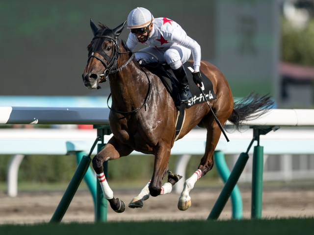 クイーンS】ミッキーチャームは8枠13番、サトノガーネットは1枠1番/JRA