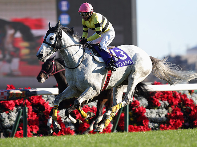 JRA】アップトゥデイトが引退、2015年中山大障害などJGI・2勝 | 競馬