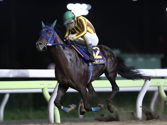 大井・サンタアニタT】ノンコノユメが人気に応えて差し切りV/地方競馬レース結果 | 競馬ニュース - netkeiba