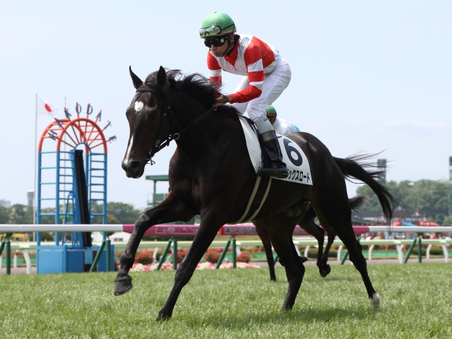 門別競馬情報】近年はJRA未勝利馬が圧倒も、今季4戦はイーヴン