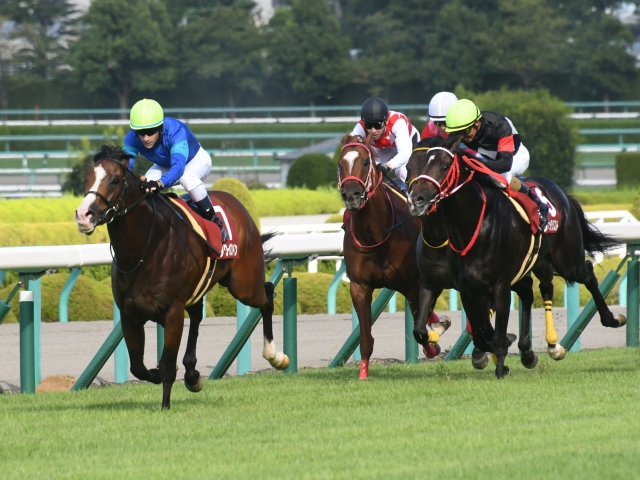 2019年サマーシリーズ最終結果 | 競馬ニュース - netkeiba