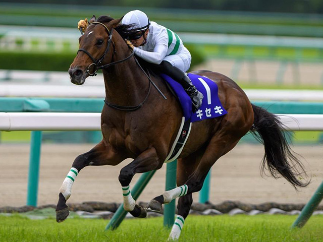 仏・フォワ賞】日本馬キセキは3番枠 凱旋門賞前哨戦は4頭立てに | 競馬 