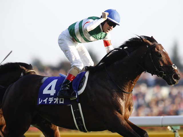 GI前哨戦のオールカマー&トライアルの神戸新聞杯に注目/今週の競馬界の見どころ | 競馬ニュース - netkeiba