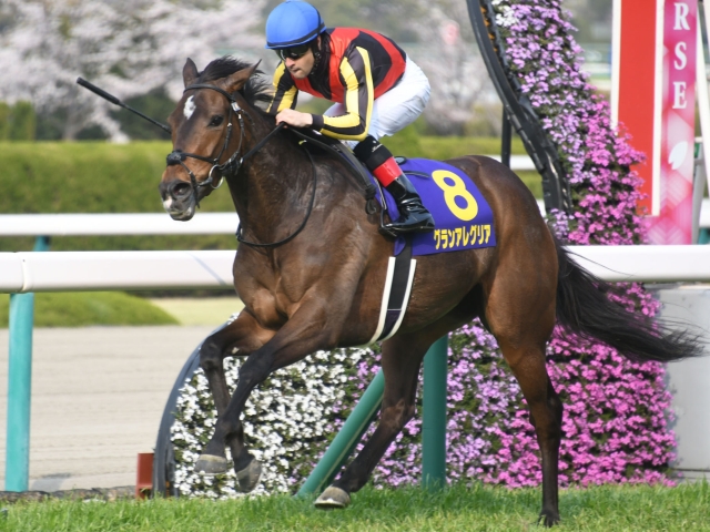 スプリンターズS】グランアレグリアが回避 左前脚の不安により | 競馬