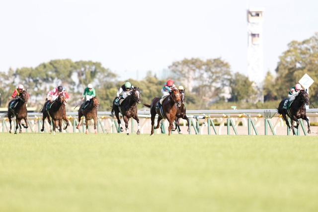 東京競馬場 最終週 芝 時計 掛かる 人気