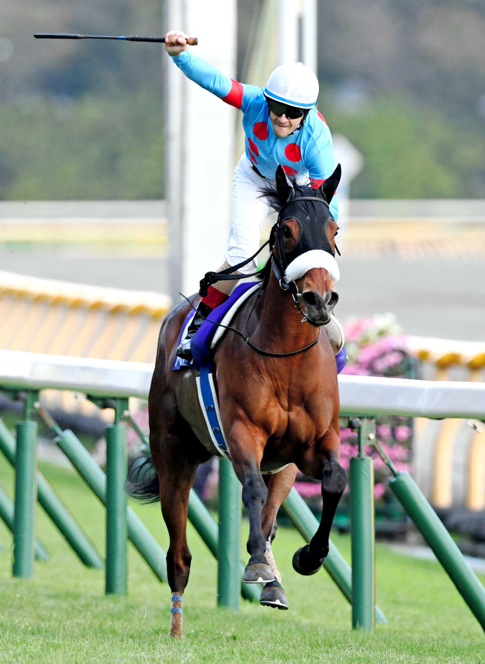 天皇賞】アーモンドアイ無双 日本に敵なし！最強女帝３馬身差の