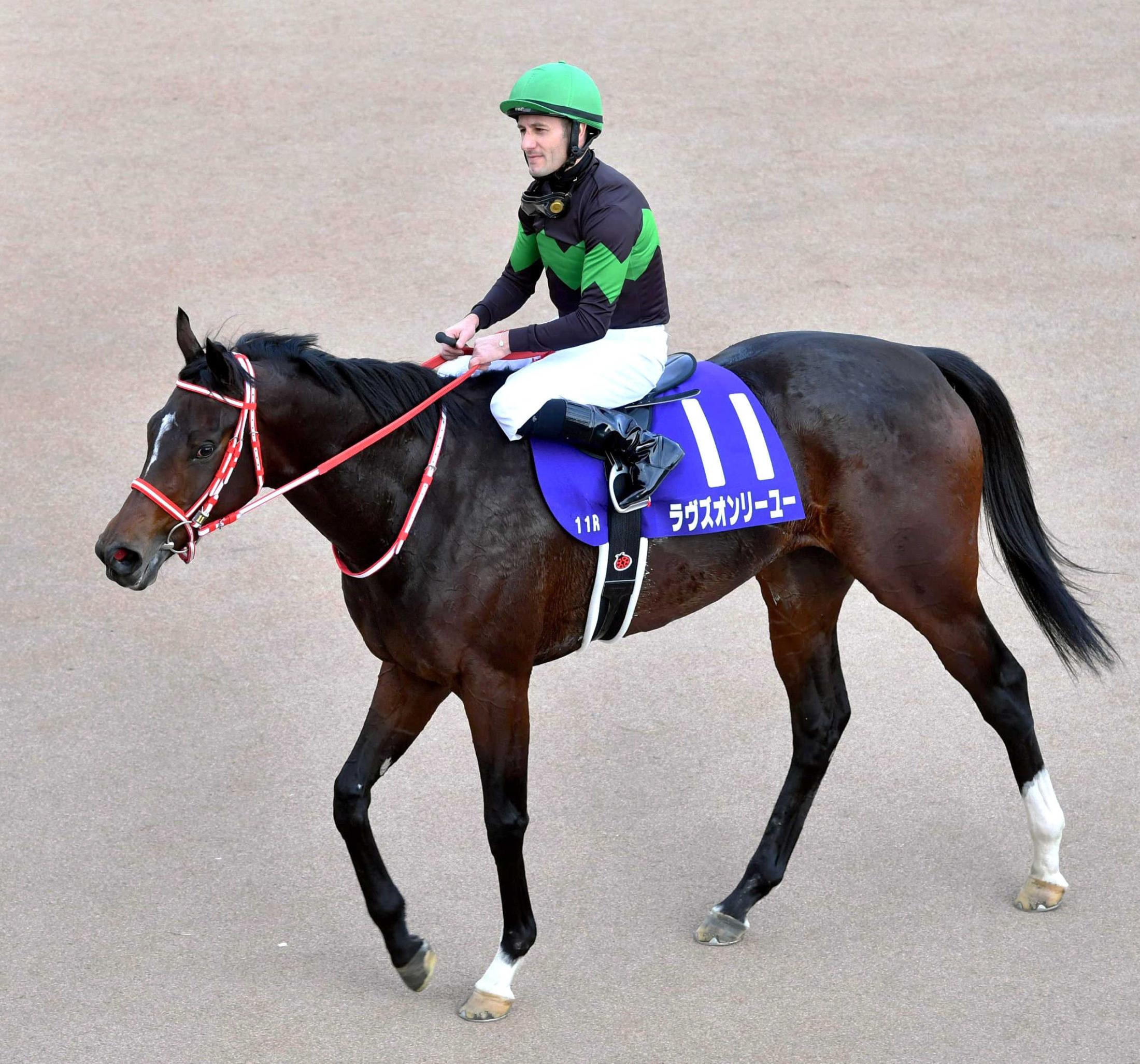 競馬 ブリーダーカップ優勝 ラヴズオンリーユー マルシュロレーヌ 矢作