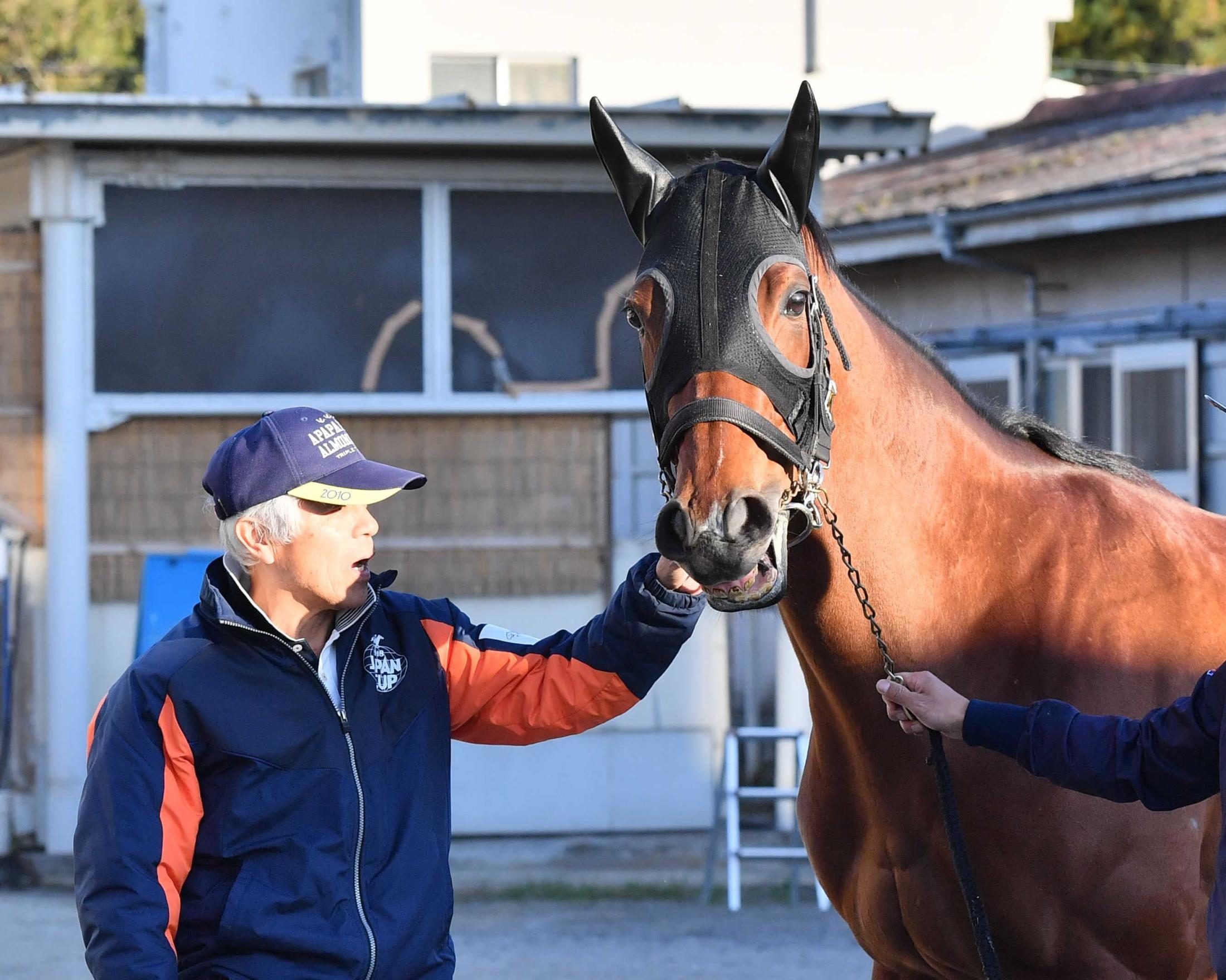 香港国際レース ブルゾン（Lサイズ） 競馬 JRA 馬出走 ジャンパー ...