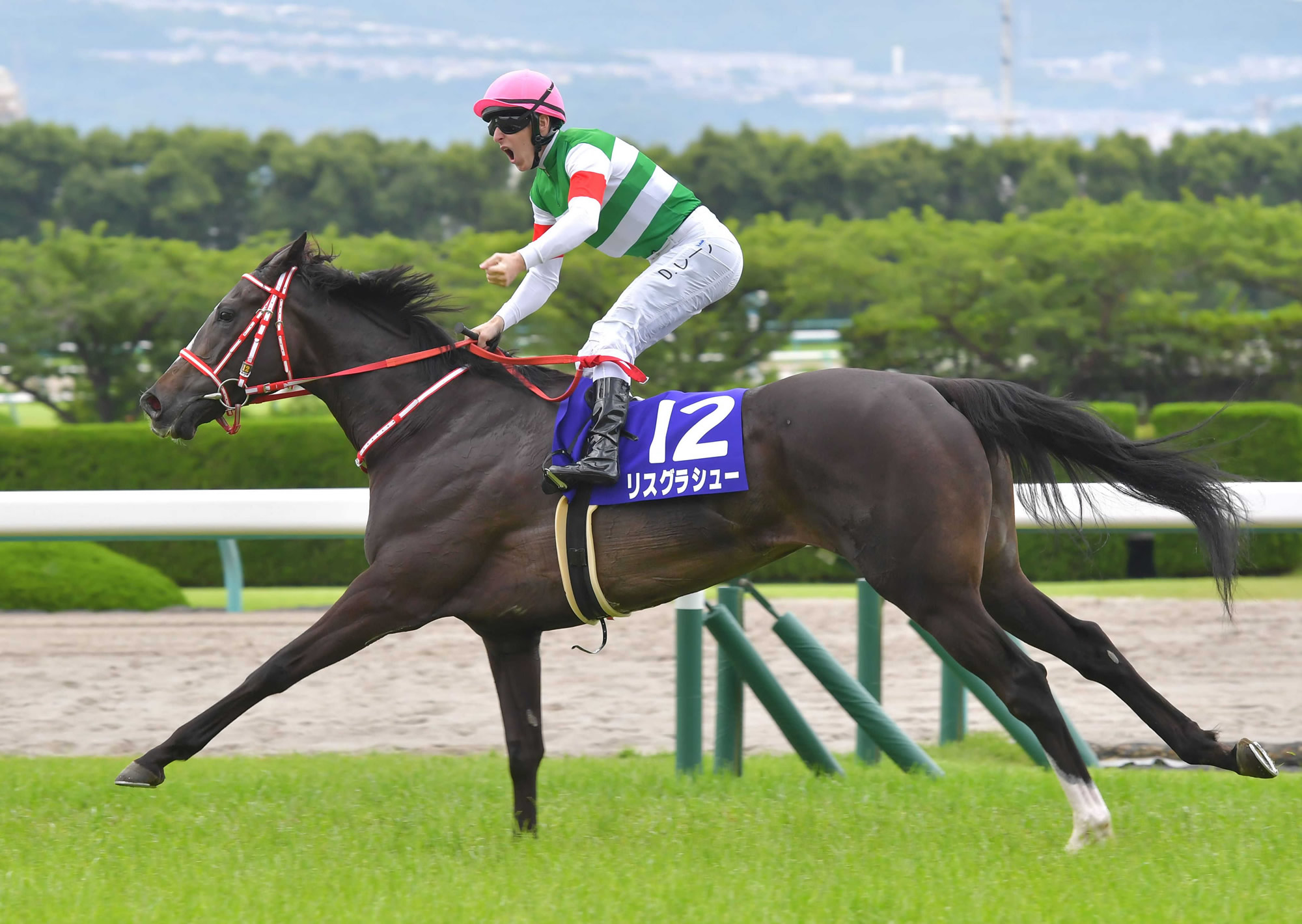 競馬 リスグラシュー色紙 D.レーン騎手直筆サイン-