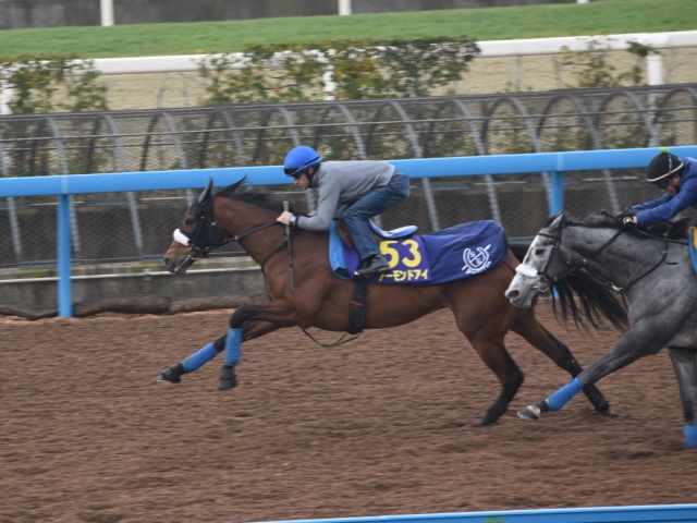 アーモンドアイ、有馬記念1週前厩舎情報/美浦トレセンニュース | 競馬ニュース - netkeiba