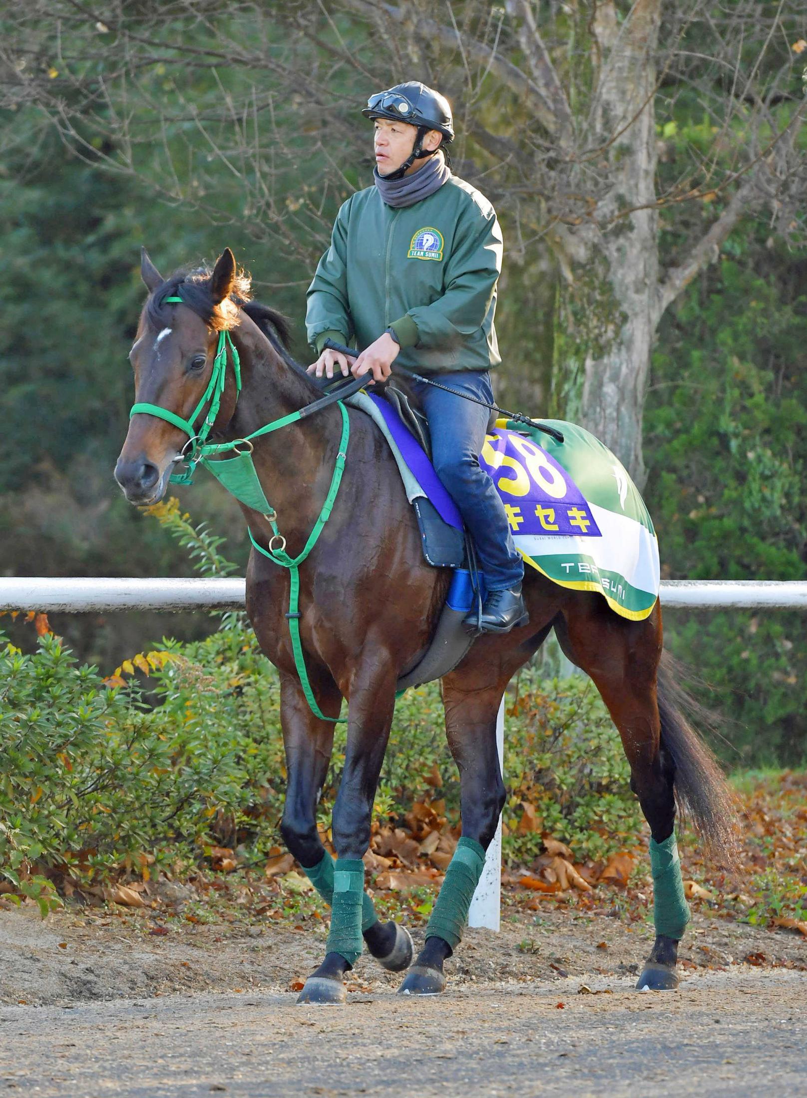 有馬記念】キセキ輝き取り戻す…惜敗続きにピリオドだ ファン投票は３位 | 競馬ニュース - netkeiba