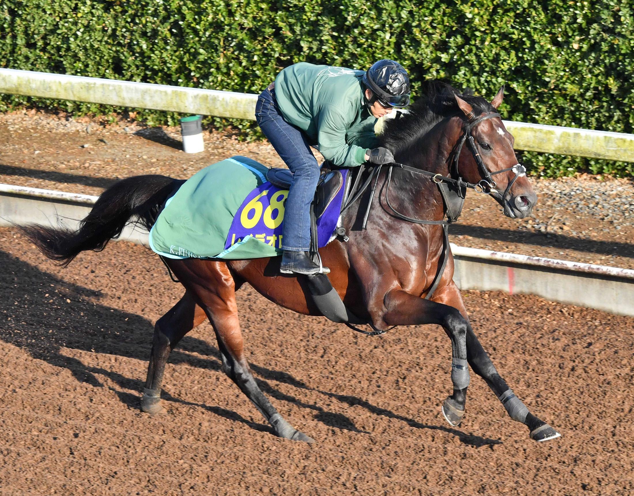 有馬記念】レイデオロ 新元号初の有馬で飾る“有終の美” 今年未勝利でも ...