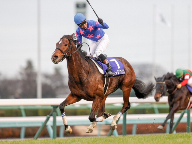 中山大障害】シングンマイケルが3連勝で戴冠！ 初挑戦で栄冠掴む/JRA