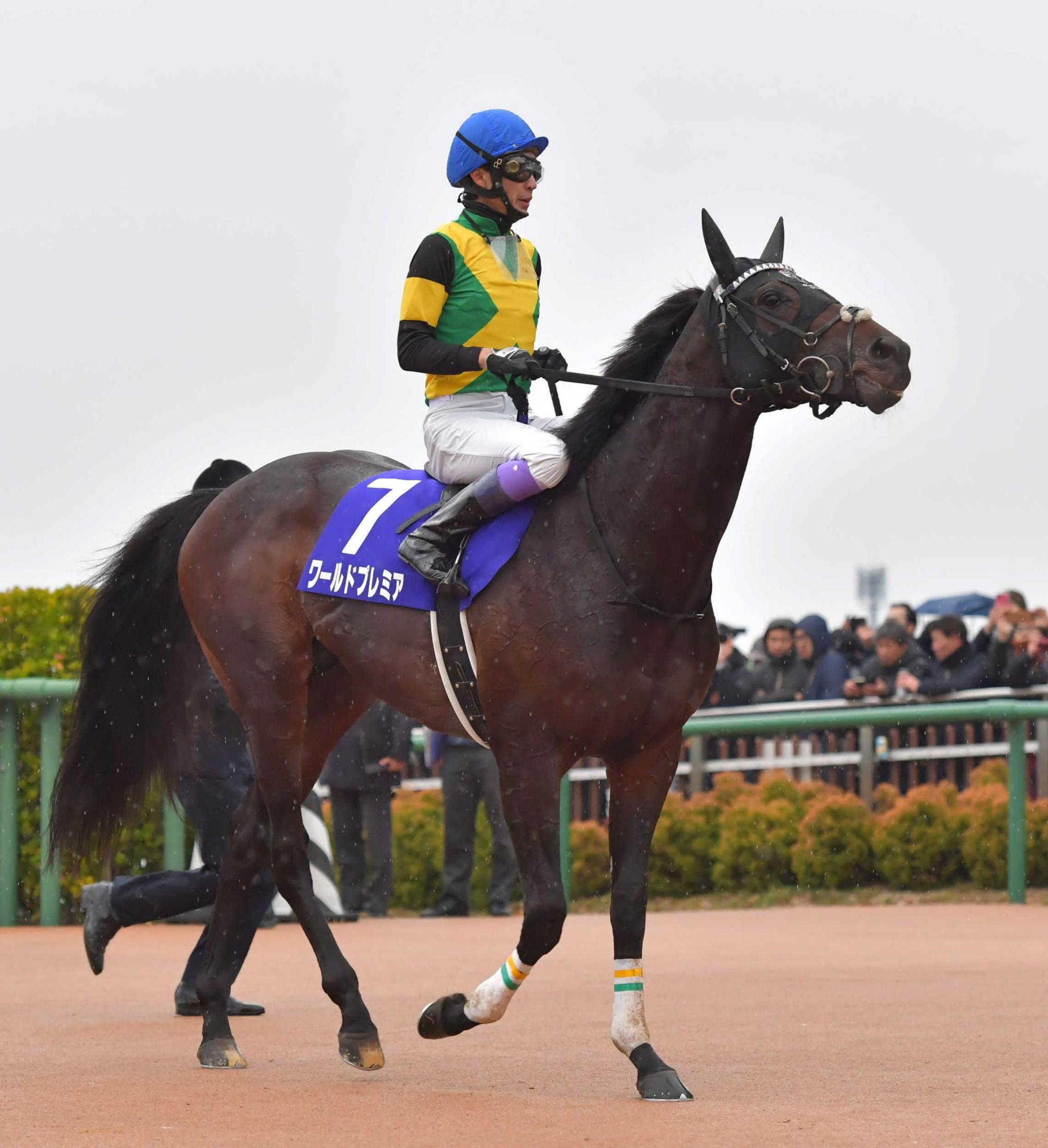 有馬記念】ワールドプレミア納得３着 豊の作戦はまった「ためるだけ