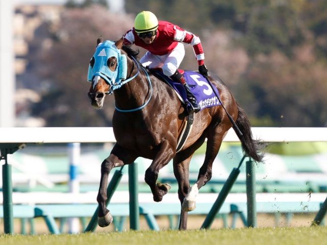 競馬ファンが選ぶ最優秀障害馬】障害2戦2勝のオジュウチョウサンがトップ/中間結果発表 | 競馬ニュース - netkeiba