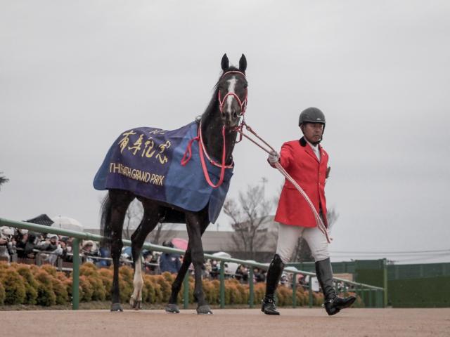 リスグラシューの引退式を1月19日(日)に京都競馬場で実施 | 競馬ニュース - netkeiba