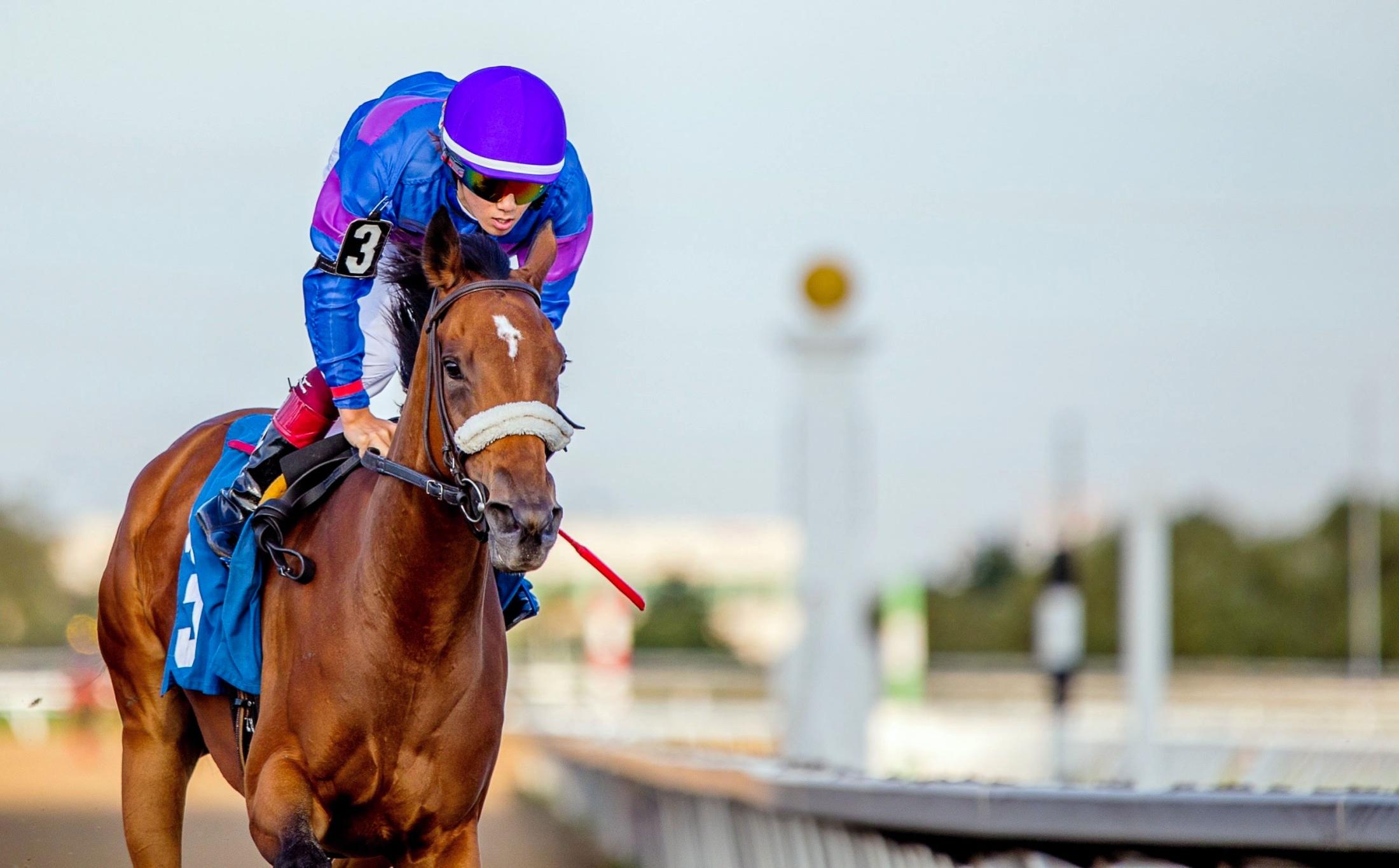 木村和士が日本人初のエクリプス賞受賞 全米の競馬年度代表表彰 | 競馬