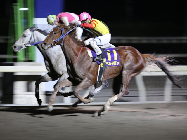 高知・黒潮スプリンターズC】スペルマロンが競り合いを制しV/地方競馬