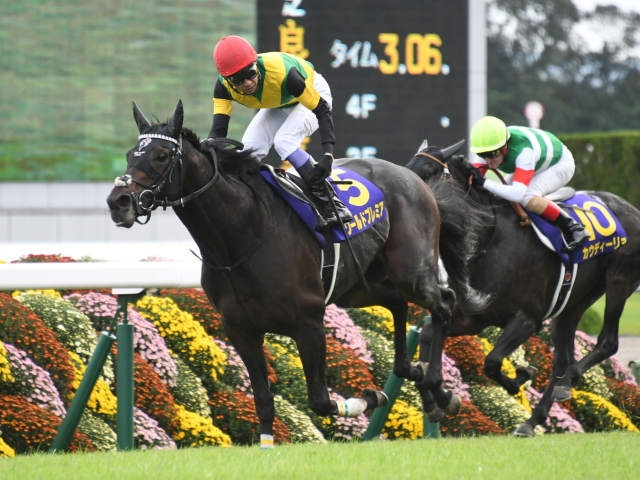 JRA】ワールドプレミアは天皇賞・春を回避 | 競馬ニュース - netkeiba